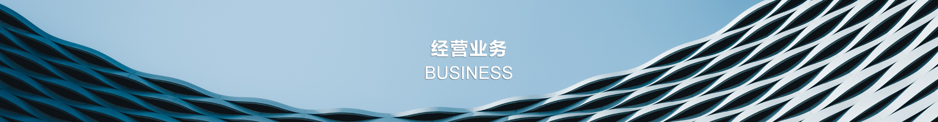 政府项目